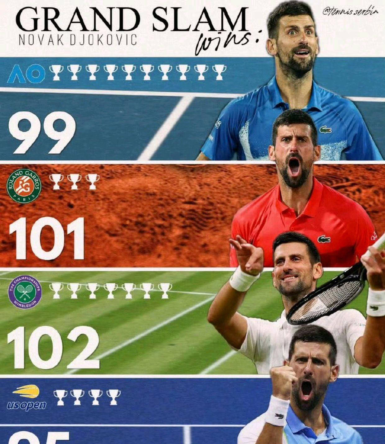  德约科维奇回塞尔维亚庆祝夺金 